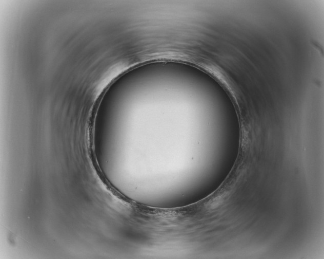 X0000100980999200807011439