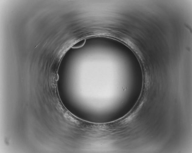 X0000100981001200807011439