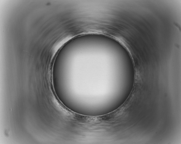 X0000100981003200807011439