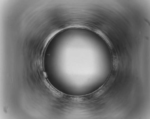 X0000100981004200807011439