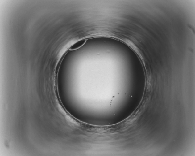 X0000100981005200807011439