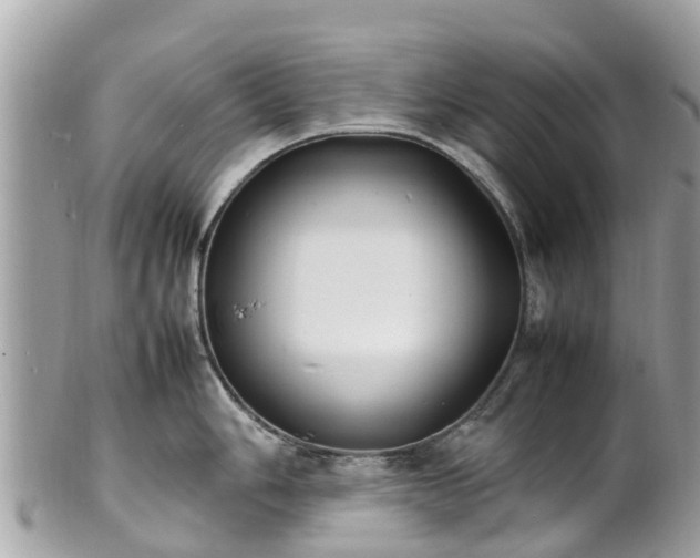 X0000100981006200807011439