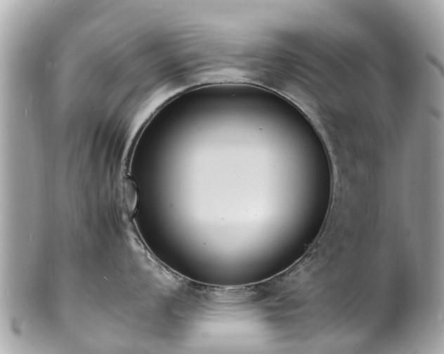 X0000100981008200807011439