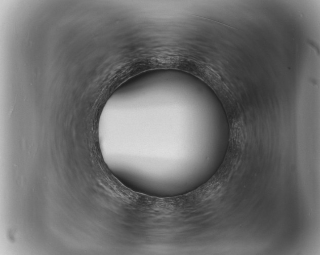 X0000100981009200807011438