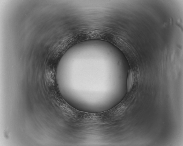 X0000100981010200807011438