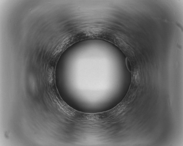 X0000100981012200807011438