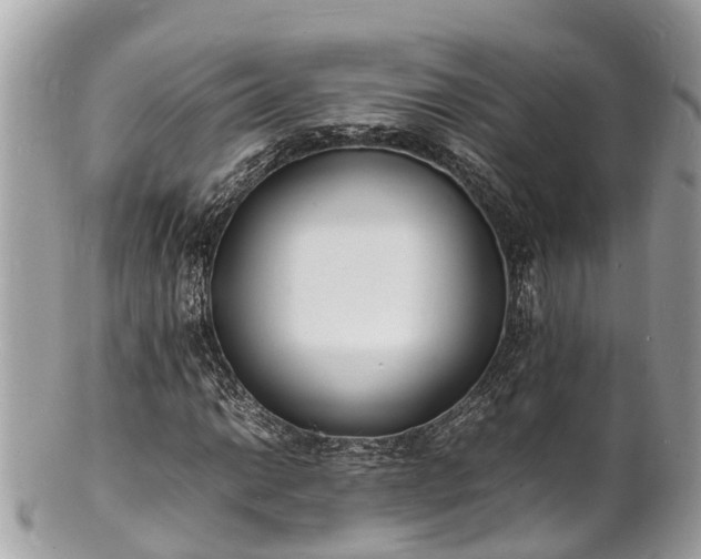 X0000100981014200807011438