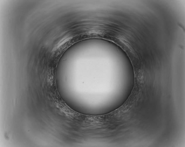 X0000100981015200807011438