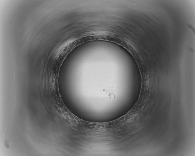 X0000100981016200807011438