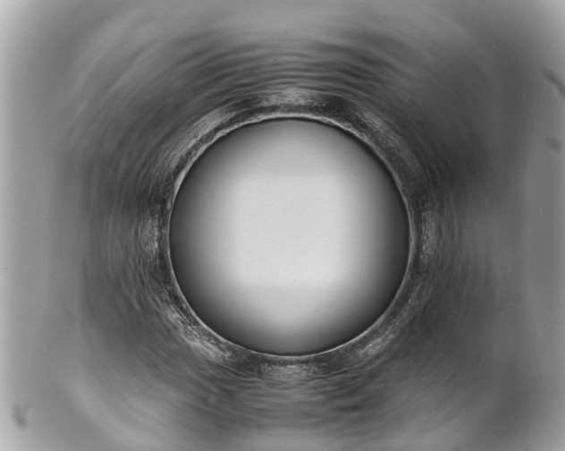 X0000100981017200807011438