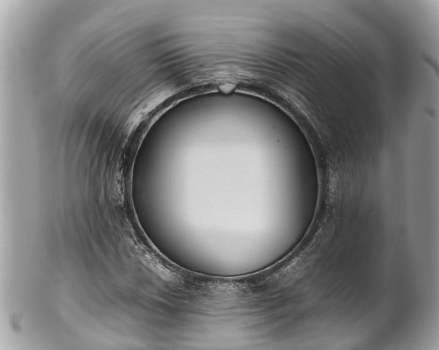 X0000100981018200807011438