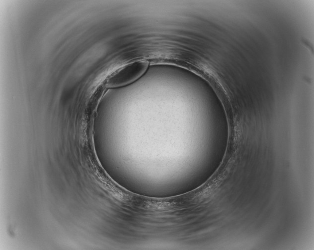 X0000100981019200807011438