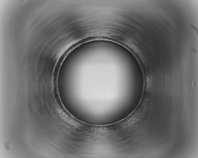 X0000100981020200807011438