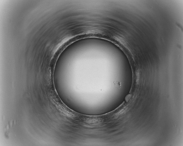 X0000100981021200807011438