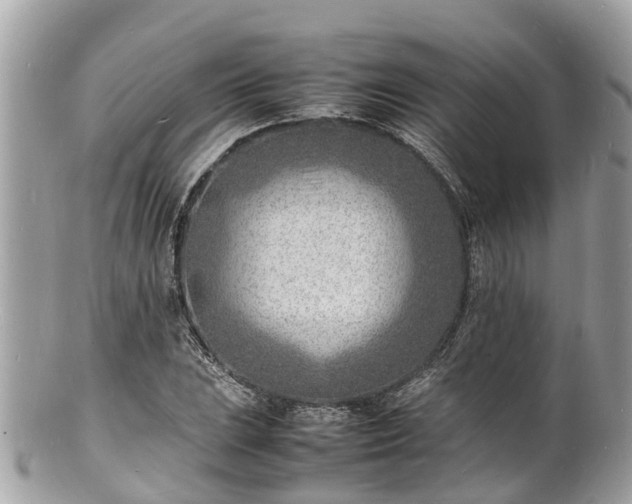 X0000100981023200807011438