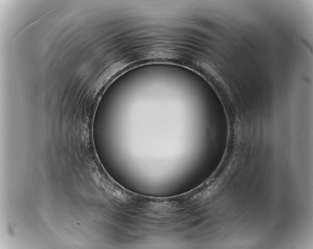 X0000100981025200807011438