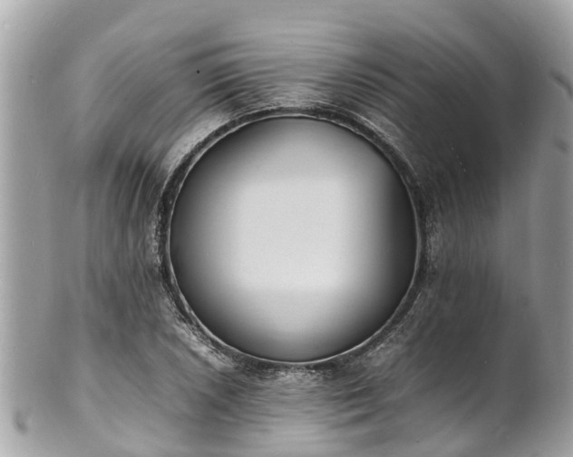 X0000100981026200807011439