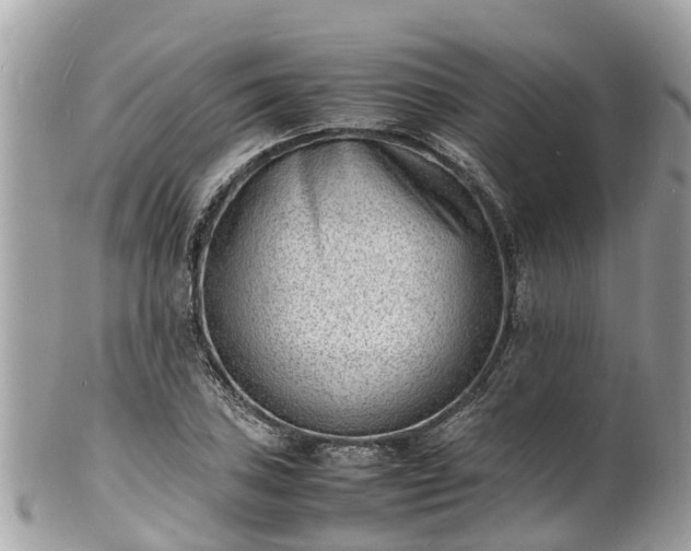 X0000100981027200807011439