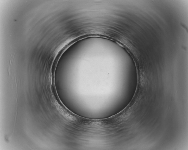 X0000100981028200807011439