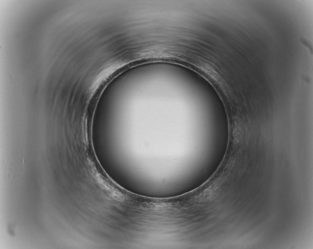 X0000100981030200807011439