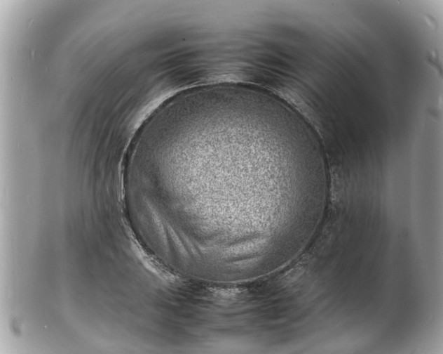 X0000100981031200807011439