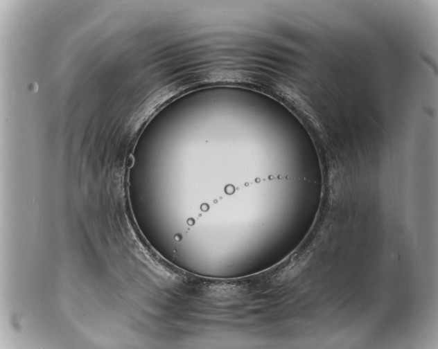 X0000100981033200807011439