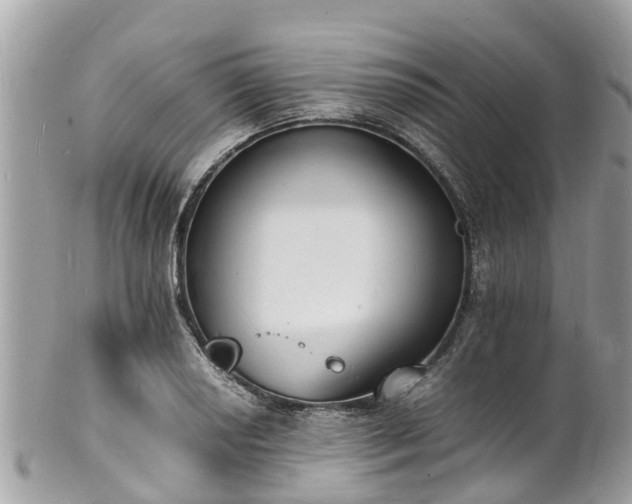 X0000100981034200807011439