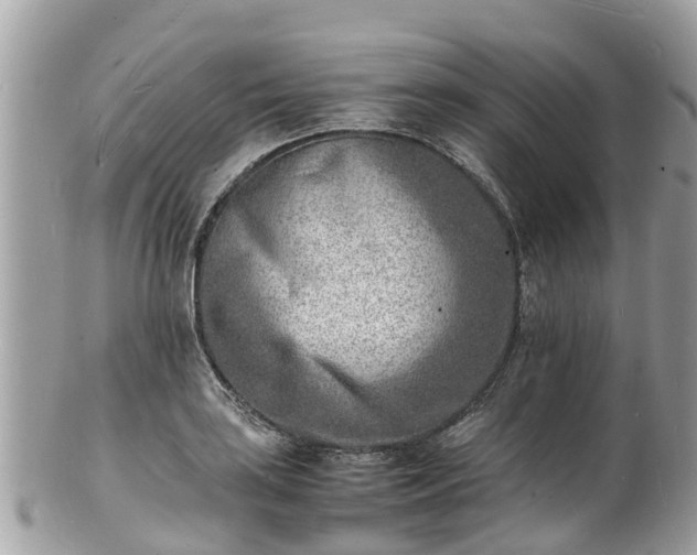 X0000100981035200807011439