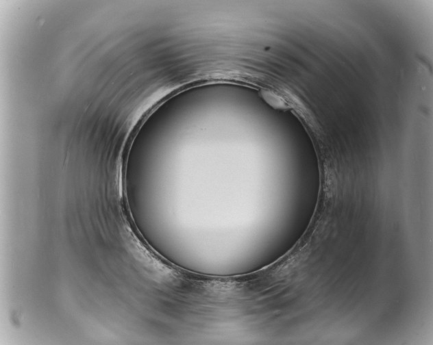 X0000100981036200807011439