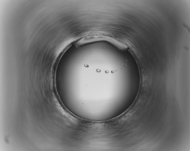 X0000100981038200807011439