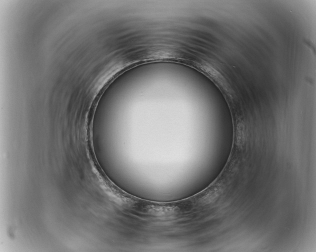 X0000100981039200807011439