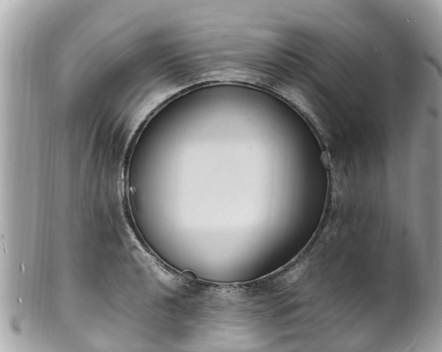 X0000100981040200807011439