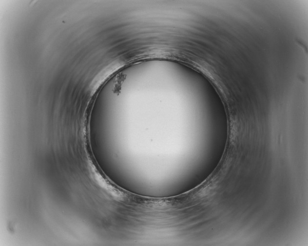 X0000100981042200807011439