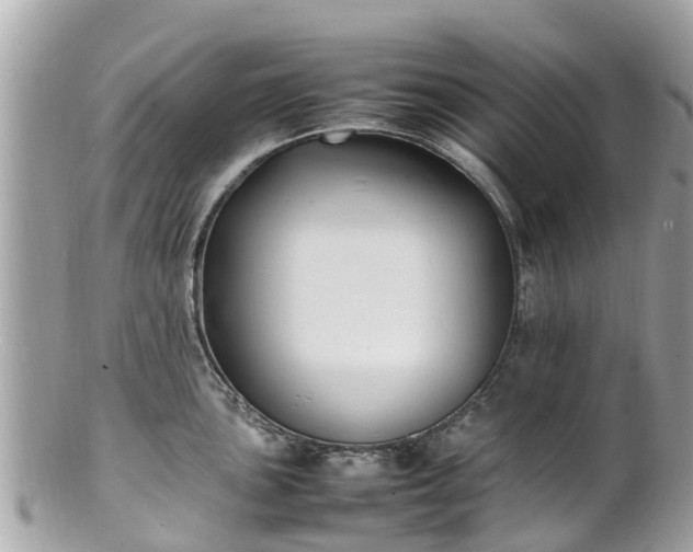 X0000100981051200807011439