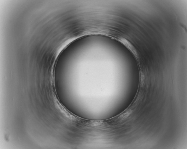 X0000100981052200807011439