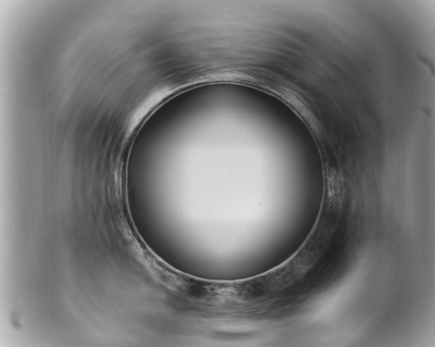 X0000100981054200807011439