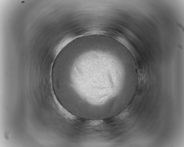 X0000100981055200807011439