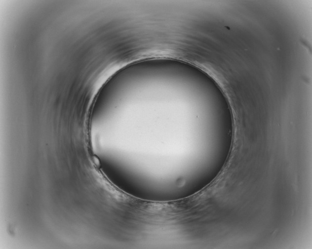 X0000100981056200807011439