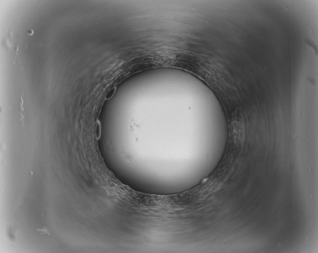 X0000100981057200807011438