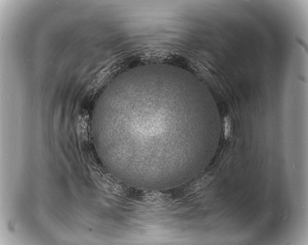 X0000100981059200807011438