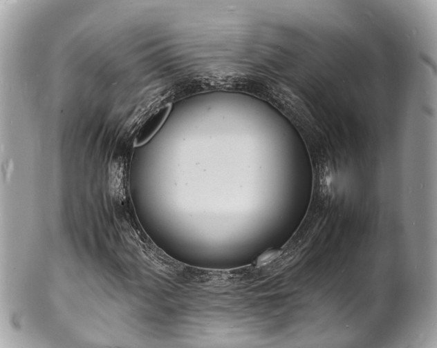 X0000100981060200807011438