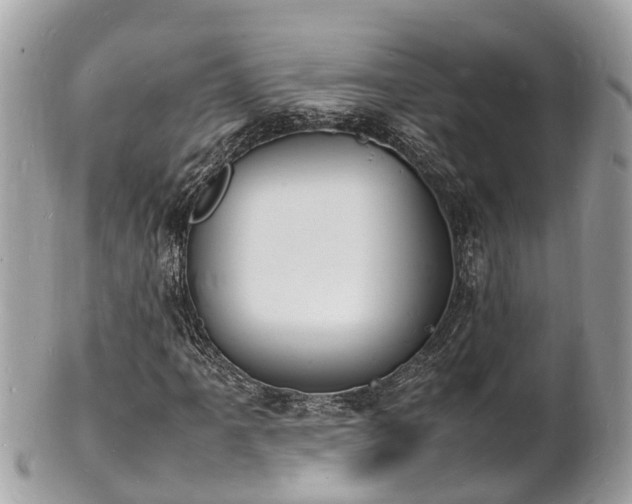 X0000100981061200807011438