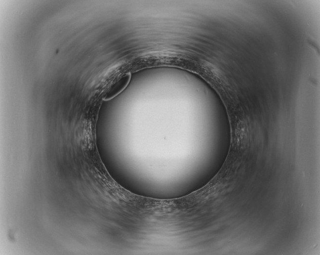 X0000100981062200807011438