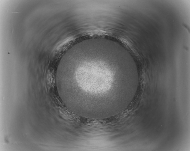 X0000100981063200807011438