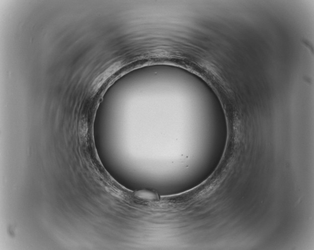 X0000100981065200807011438