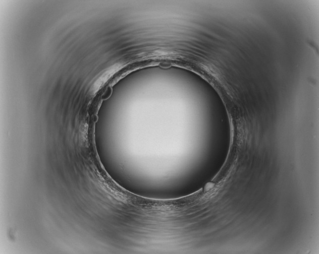 X0000100981066200807011438