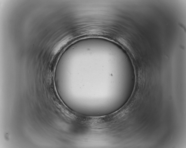 X0000100981067200807011438