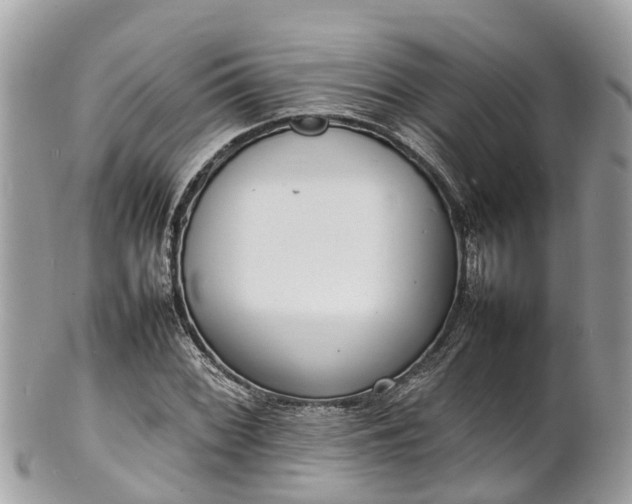 X0000100981068200807011438