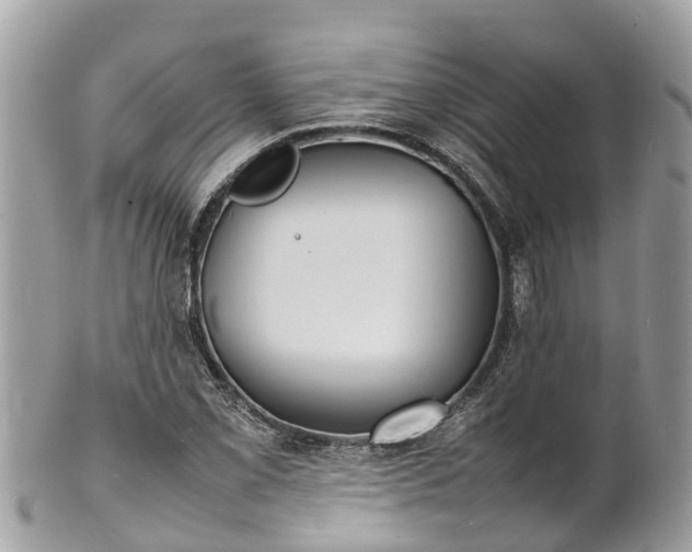 X0000100981069200807011438