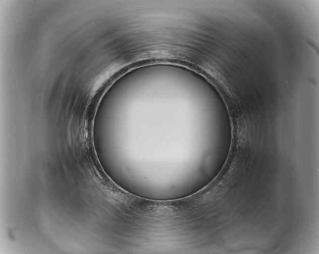 X0000100981070200807011438